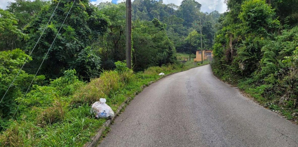 Second image of New Green, Mandeville in Mandeville, Manchester, Jamaica - property is For Sale