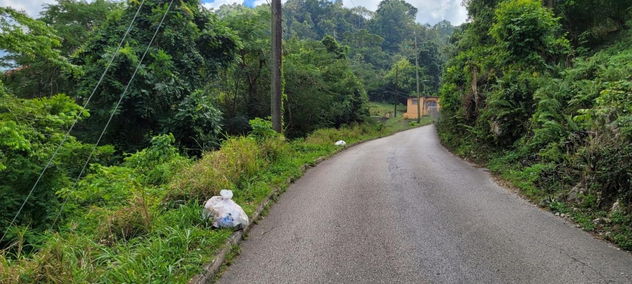 Second image of New Green, Mandeville in Mandeville, Manchester, Jamaica - property is For Sale