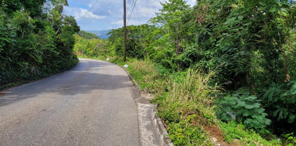 Seventeenth image of New Green, Mandeville in Mandeville, Manchester, Jamaica - property is For Sale