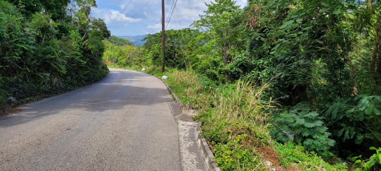 Seventeenth image of New Green, Mandeville in Mandeville, Manchester, Jamaica - property is For Sale