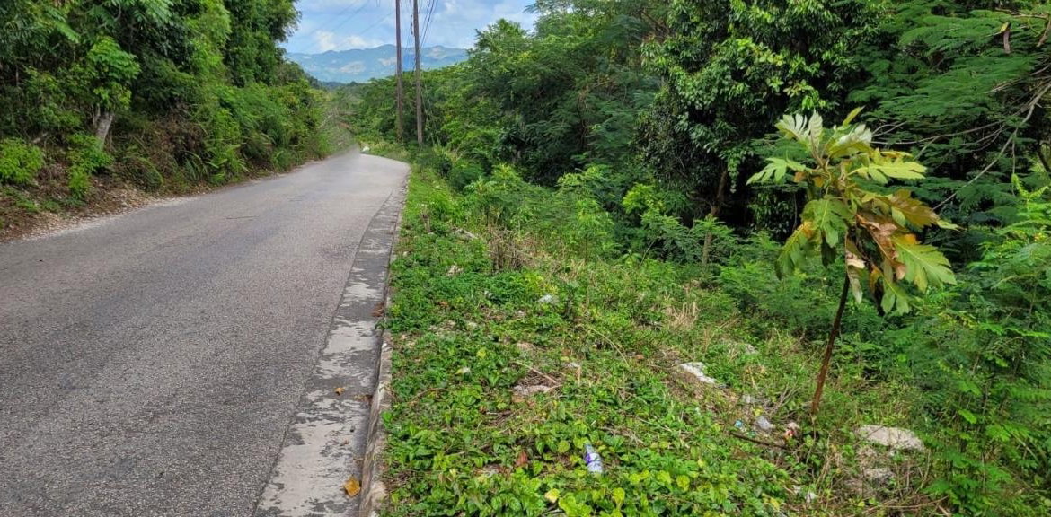 Third image of New Green, Mandeville in Mandeville, Manchester, Jamaica - property is For Sale