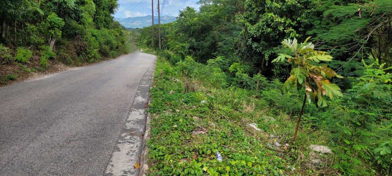 Third image of New Green, Mandeville in Mandeville, Manchester, Jamaica - property is For Sale