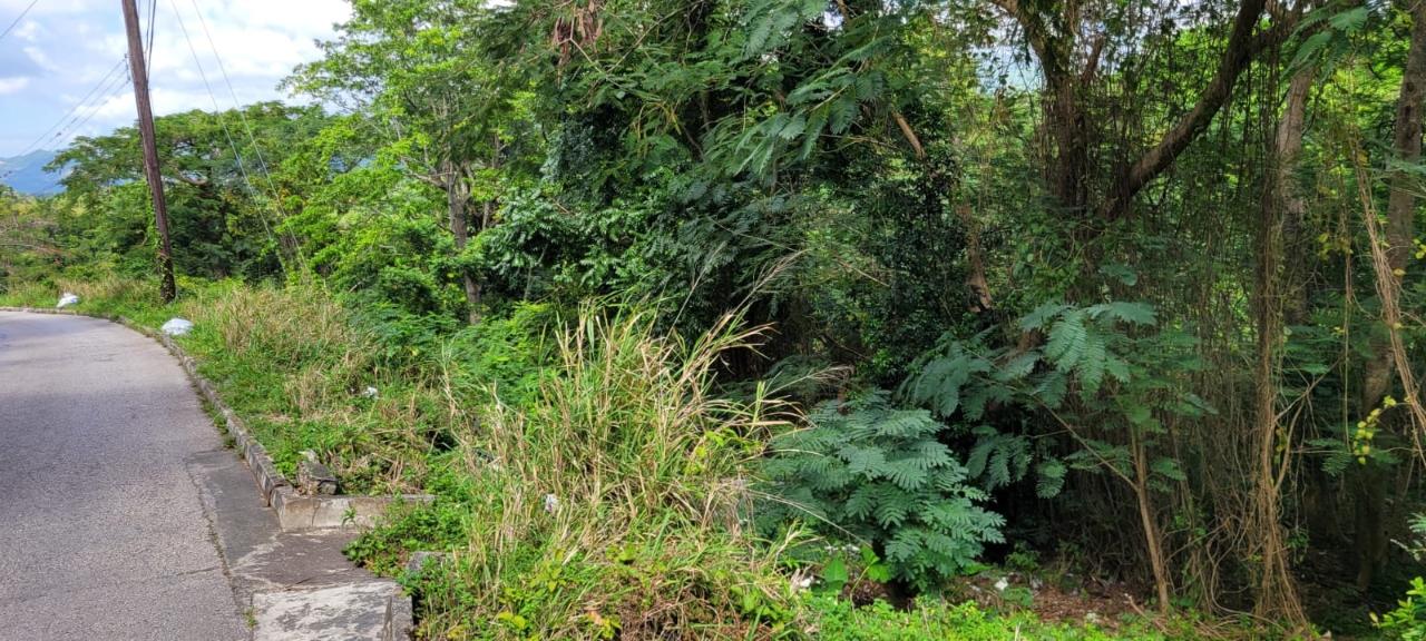 Twenty-First image of New Green, Mandeville in Mandeville, Manchester, Jamaica - property is For Sale