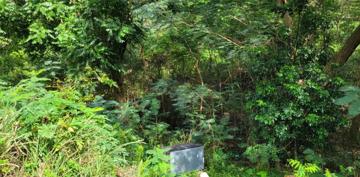 Twenty-Fifth image of New Green, Mandeville in Mandeville, Manchester, Jamaica - property is For Sale