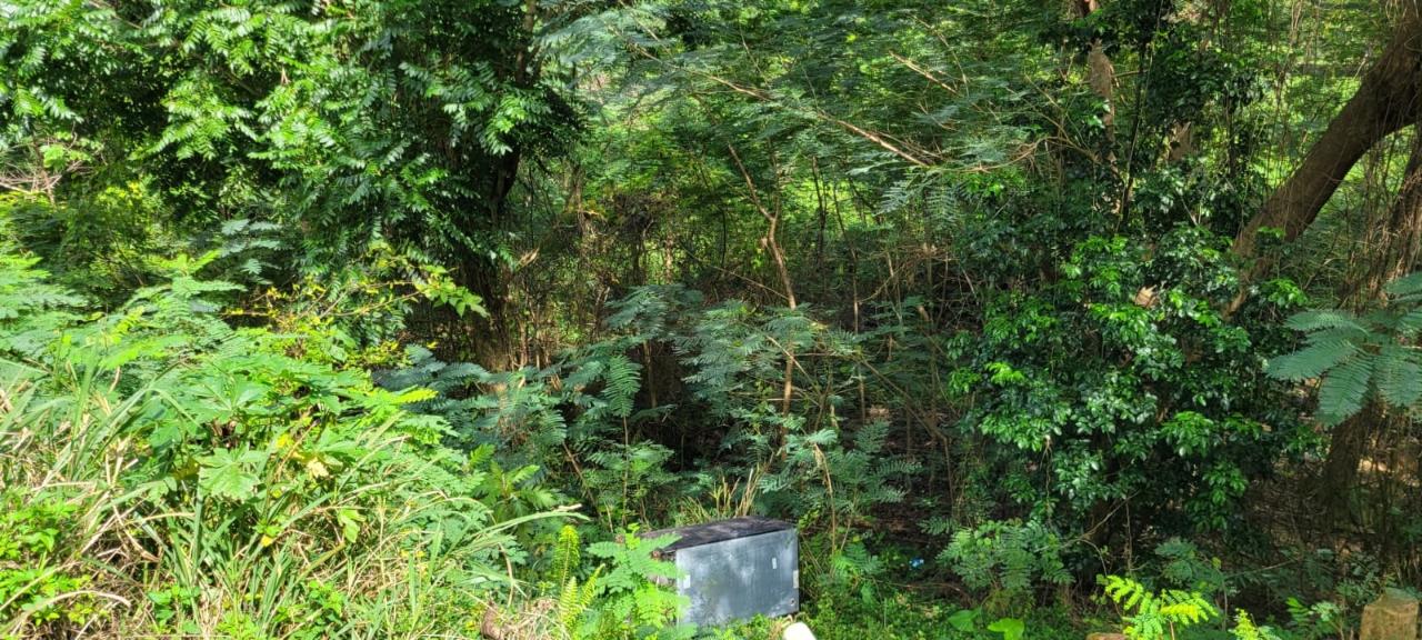 Twenty-Fifth image of New Green, Mandeville in Mandeville, Manchester, Jamaica - property is For Sale