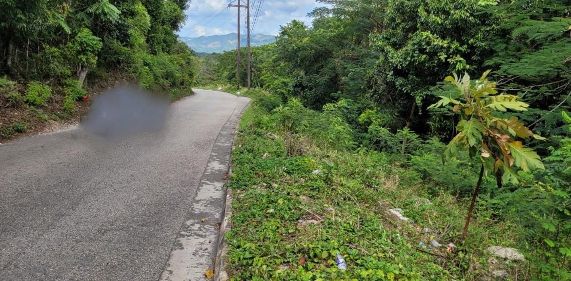 Fourth image of New Green, Mandeville in Mandeville, Manchester, Jamaica - property is For Sale