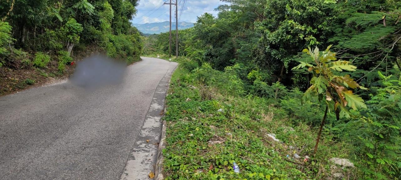 Fourth image of New Green, Mandeville in Mandeville, Manchester, Jamaica - property is For Sale