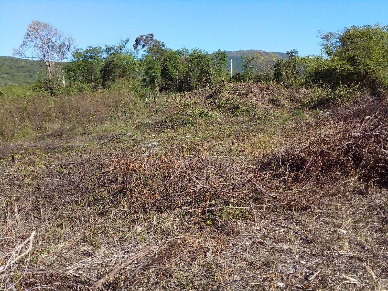 Fourth image of 86 Cashoo Palmbrook Estate, in Lacovia, St. Elizabeth, Jamaica - property is For Sale