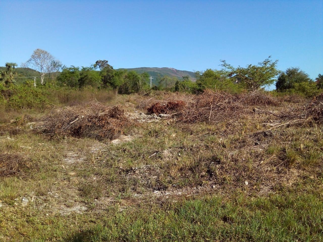 Fifth image of 86 Cashoo Palmbrook Estate, in Lacovia, St. Elizabeth, Jamaica - property is For Sale