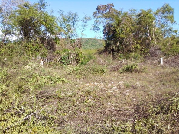 Sixth image of 86 Cashoo Palmbrook Estate, in Lacovia, St. Elizabeth, Jamaica - property is For Sale