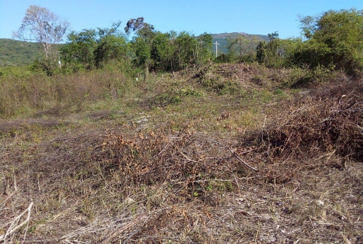 Seventh image of 86 Cashoo Palmbrook Estate, in Lacovia, St. Elizabeth, Jamaica - property is For Sale