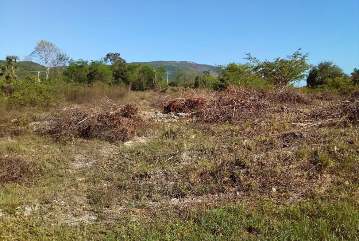 Eighth image of 86 Cashoo Palmbrook Estate, in Lacovia, St. Elizabeth, Jamaica - property is For Sale