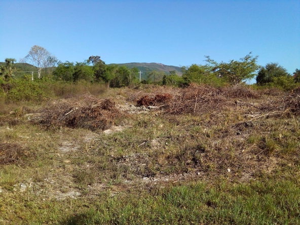 Eighth image of 86 Cashoo Palmbrook Estate, in Lacovia, St. Elizabeth, Jamaica - property is For Sale