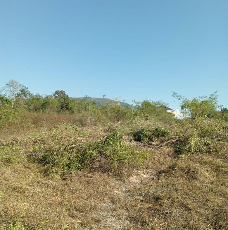 Ninth image of 86 Cashoo Palmbrook Estate, in Lacovia, St. Elizabeth, Jamaica - property is For Sale