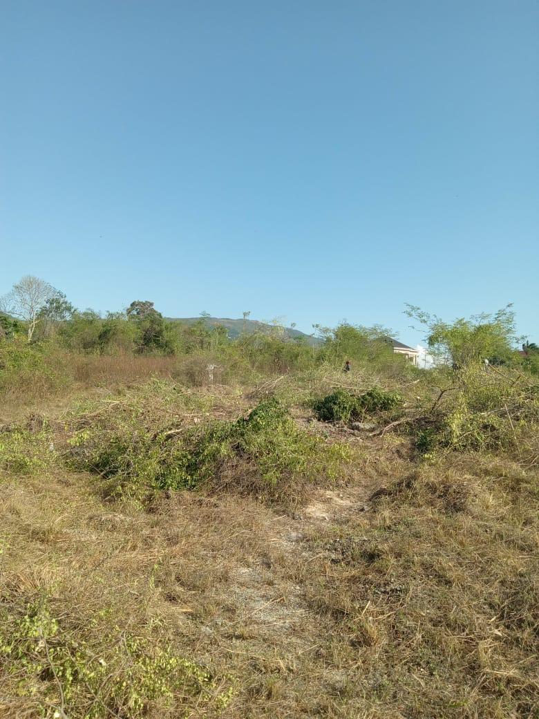 Ninth image of 86 Cashoo Palmbrook Estate, in Lacovia, St. Elizabeth, Jamaica - property is For Sale