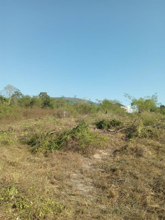 Ninth image of 86 Cashoo Palmbrook Estate, in Lacovia, St. Elizabeth, Jamaica - property is For Sale