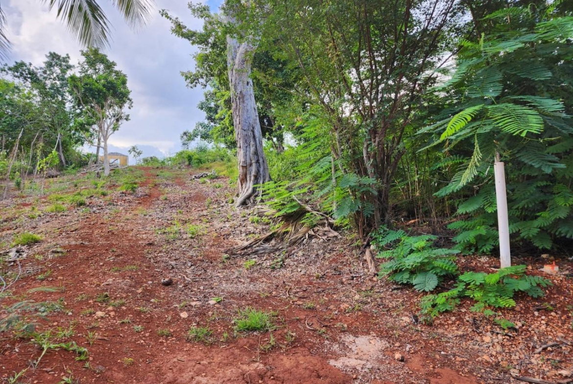 Eleventh image of Pusey Hill Manchester in Pusey Hill, Manchester, Jamaica - property is For Sale