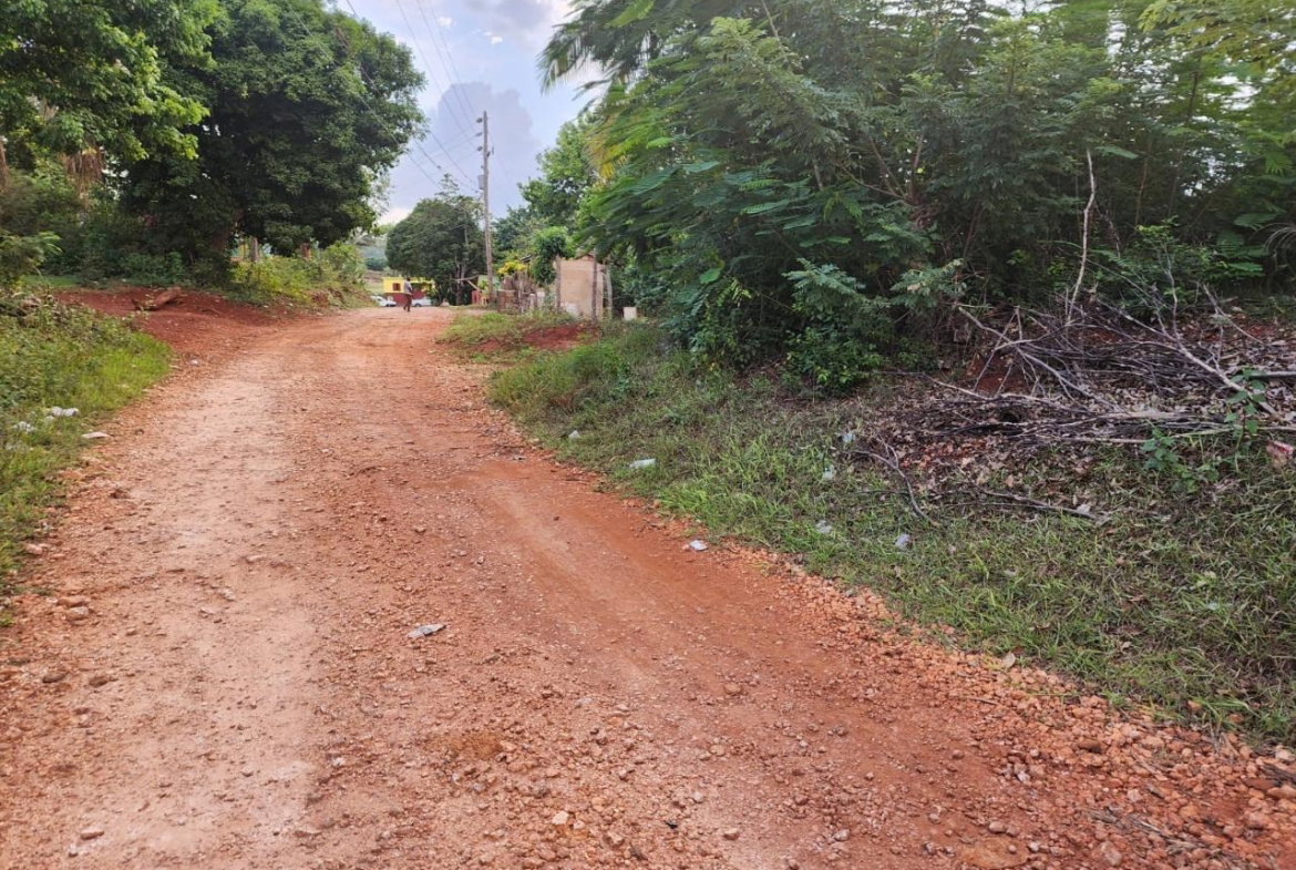 Fourteenth image of Pusey Hill Manchester in Pusey Hill, Manchester, Jamaica - property is For Sale