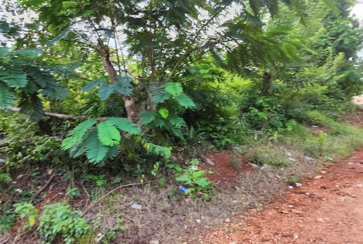 Sixteenth image of Pusey Hill Manchester in Pusey Hill, Manchester, Jamaica - property is For Sale