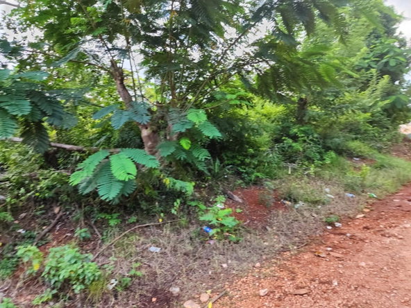 Sixteenth image of Pusey Hill Manchester in Pusey Hill, Manchester, Jamaica - property is For Sale