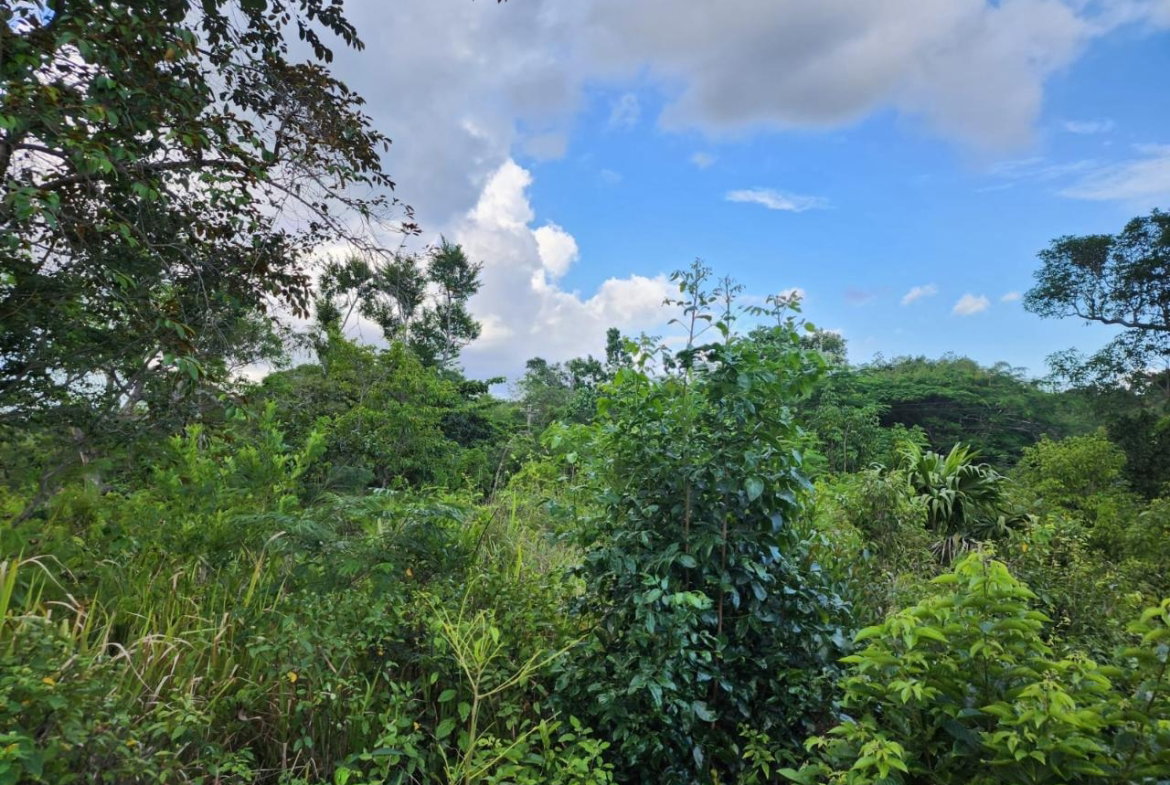 Fourth image of Pusey Hill Manchester in Pusey Hill, Manchester, Jamaica - property is For Sale