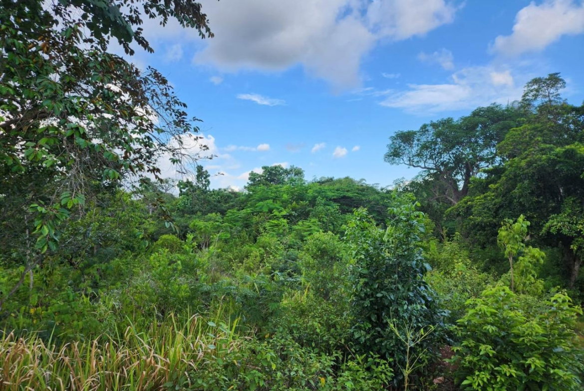 Fifth image of Pusey Hill Manchester in Pusey Hill, Manchester, Jamaica - property is For Sale