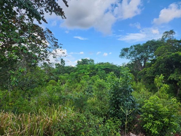 Fifth image of Pusey Hill Manchester in Pusey Hill, Manchester, Jamaica - property is For Sale
