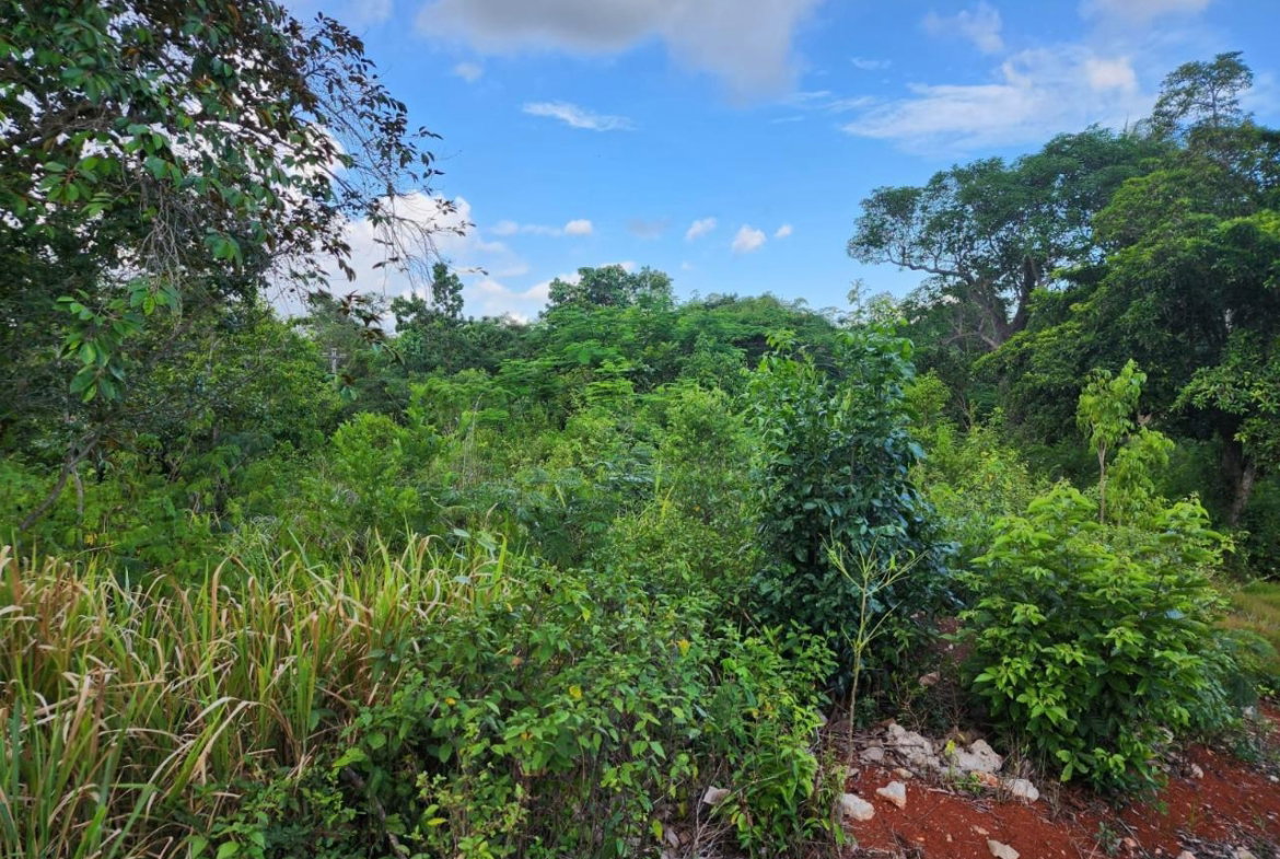 Seventh image of Pusey Hill Manchester in Pusey Hill, Manchester, Jamaica - property is For Sale