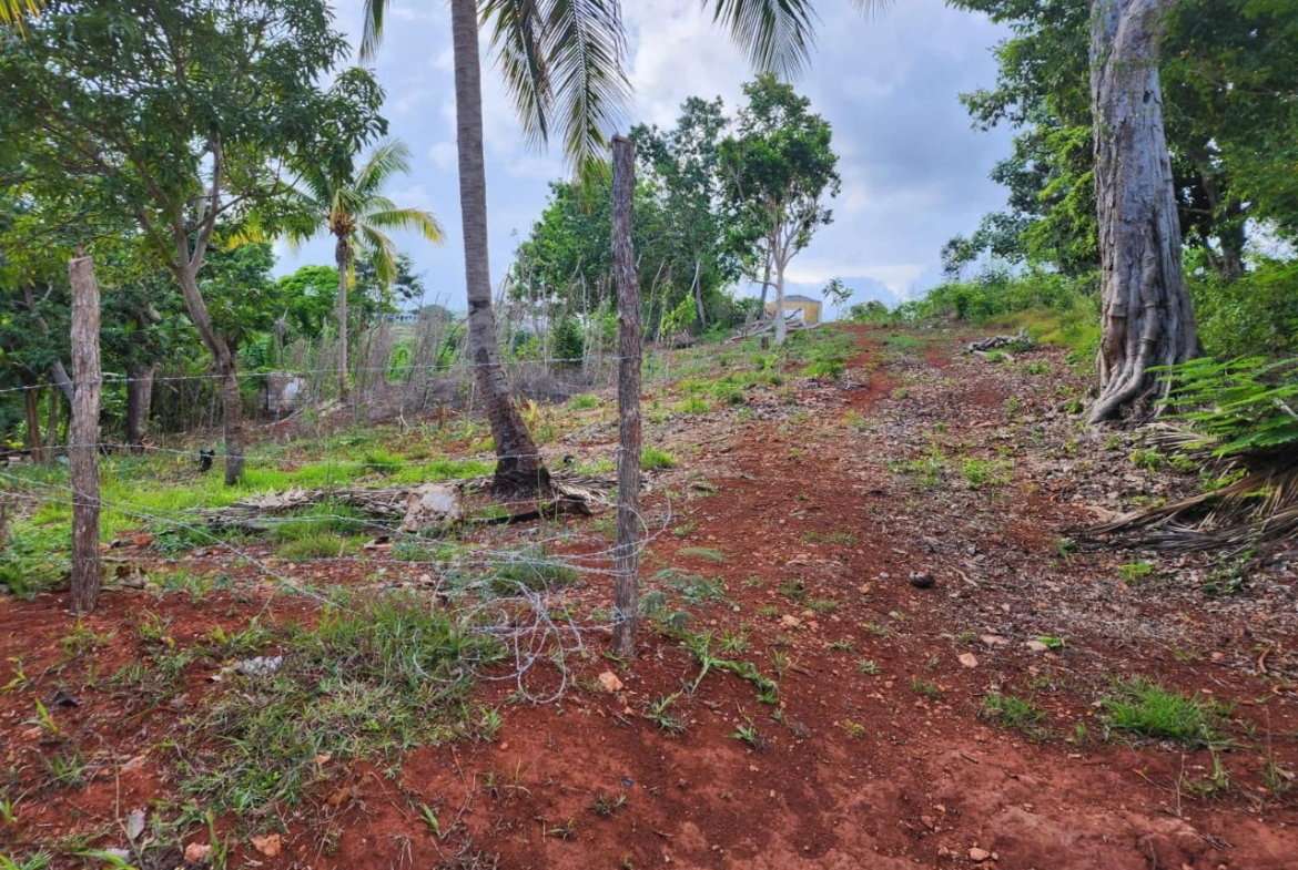 Tenth image of Pusey Hill Manchester in Pusey Hill, Manchester, Jamaica - property is For Sale