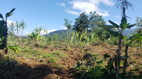 Second image of 22 Castle Drive in Kingston 9, St. Andrew, Jamaica - property is For Sale