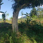 First image of 22 Castle Drive in Kingston 9, St. Andrew, Jamaica - property is For Sale