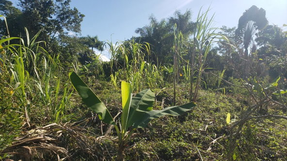 Third image of 22 Castle Drive in Kingston 9, St. Andrew, Jamaica - property is For Sale