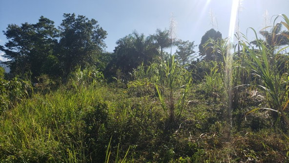 Fifth image of 22 Castle Drive in Kingston 9, St. Andrew, Jamaica - property is For Sale