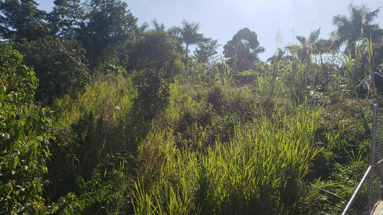 Sixth image of 22 Castle Drive in Kingston 9, St. Andrew, Jamaica - property is For Sale