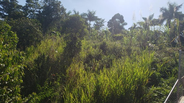 Sixth image of 22 Castle Drive in Kingston 9, St. Andrew, Jamaica - property is For Sale