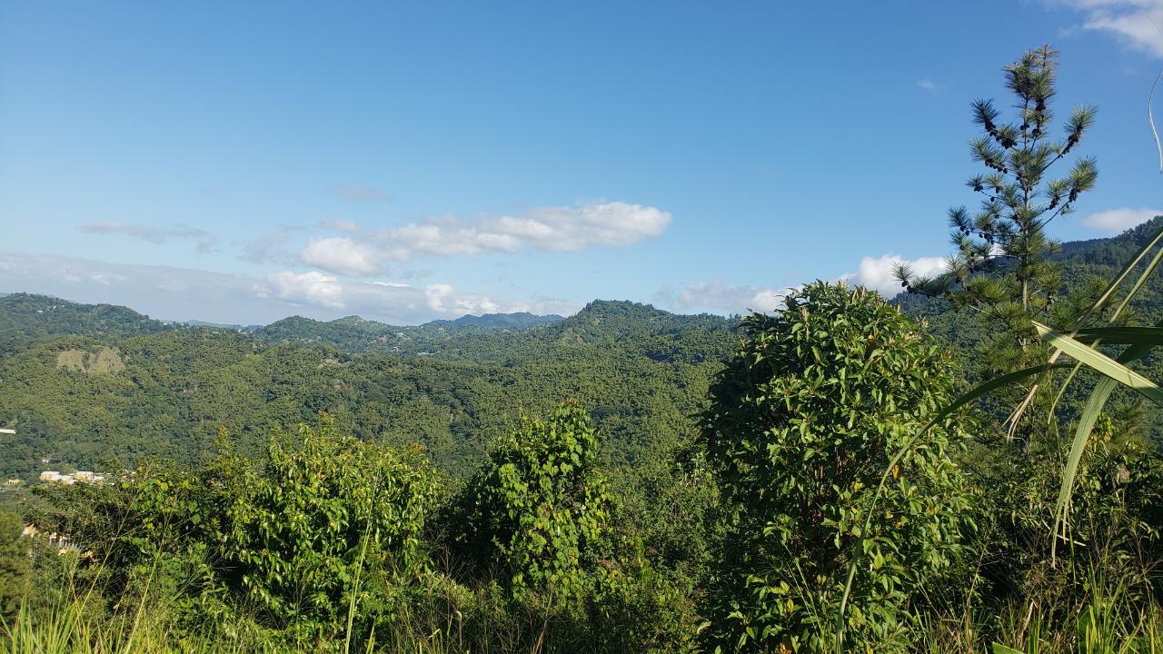 Seventh image of 22 Castle Drive in Kingston 9, St. Andrew, Jamaica - property is For Sale