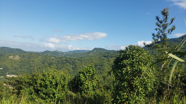 Seventh image of 22 Castle Drive in Kingston 9, St. Andrew, Jamaica - property is For Sale