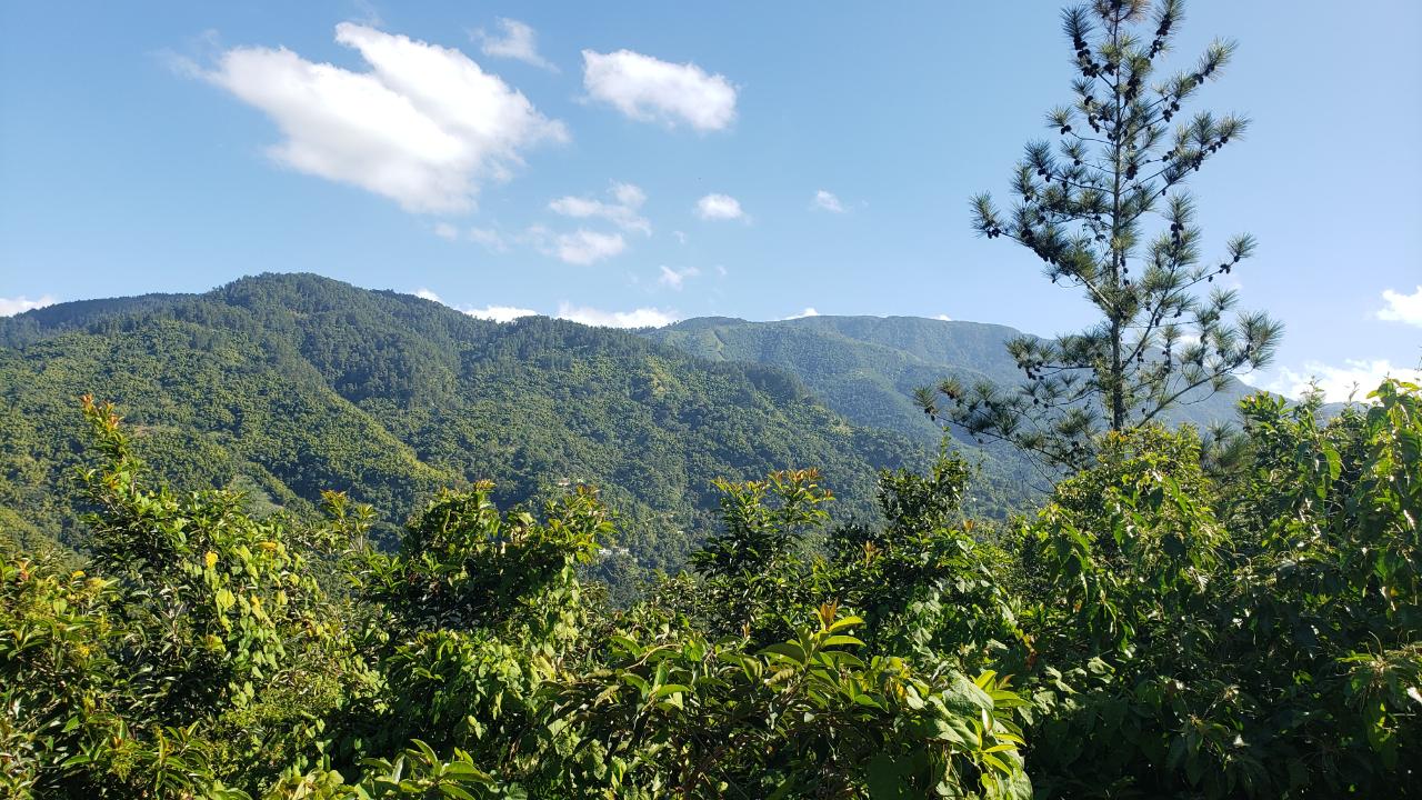 Eighth image of 22 Castle Drive in Kingston 9, St. Andrew, Jamaica - property is For Sale