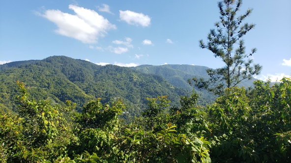 Eighth image of 22 Castle Drive in Kingston 9, St. Andrew, Jamaica - property is For Sale