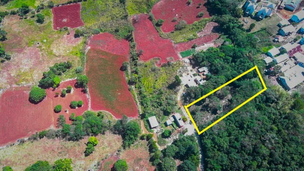 Third image of Malvern Cabbage Valley in Malvern, St. Elizabeth, Jamaica - property is For Sale