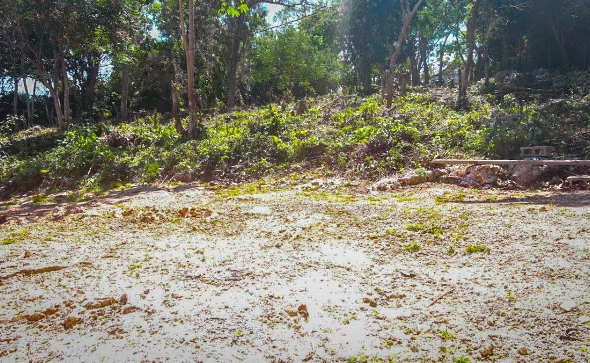 Sixth image of Malvern Cabbage Valley in Malvern, St. Elizabeth, Jamaica - property is For Sale
