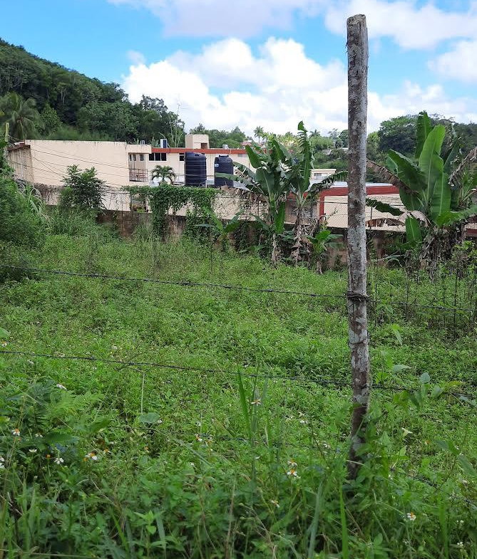 Thirteenth image of 00 Ogle, Claremont, st Ann in Claremont, St. Ann, Jamaica - property is For Sale