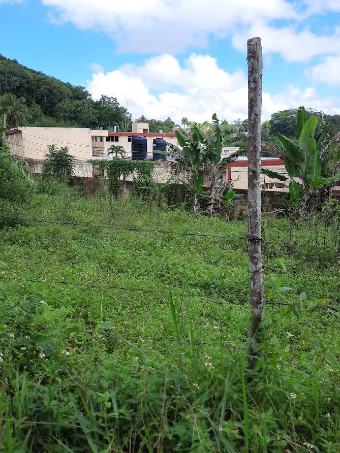 Thirteenth image of 00 Ogle, Claremont, st Ann in Claremont, St. Ann, Jamaica - property is For Sale