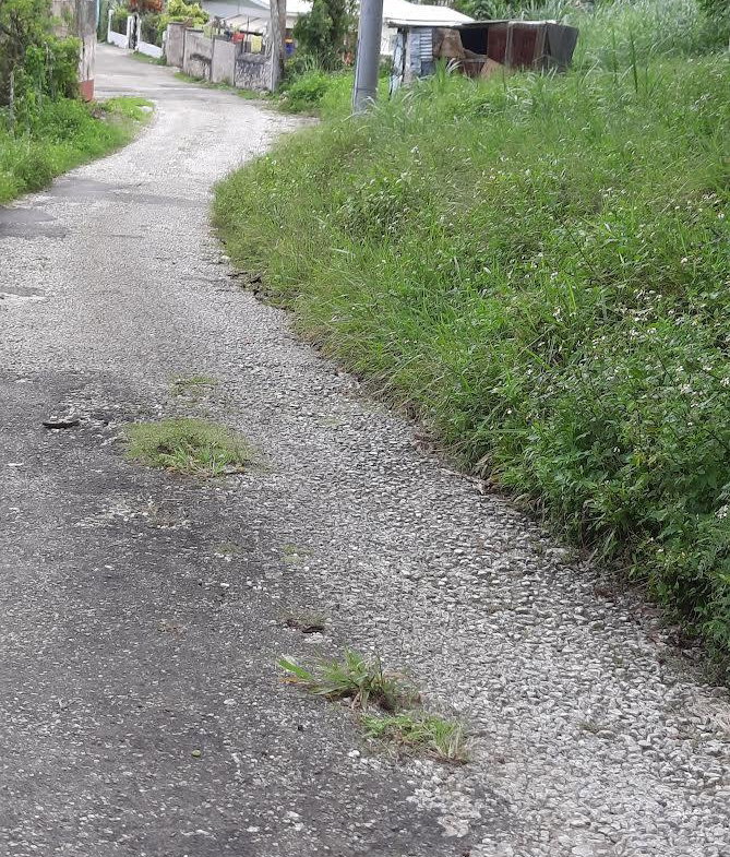 Fourteenth image of 00 Ogle, Claremont, st Ann in Claremont, St. Ann, Jamaica - property is For Sale