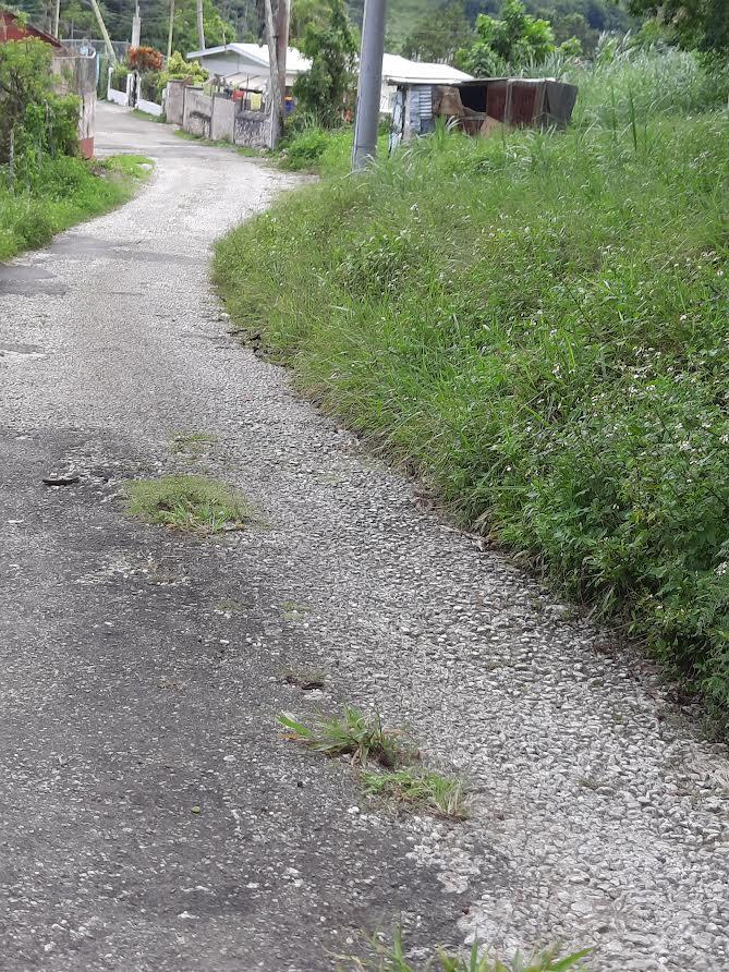 Fourteenth image of 00 Ogle, Claremont, st Ann in Claremont, St. Ann, Jamaica - property is For Sale