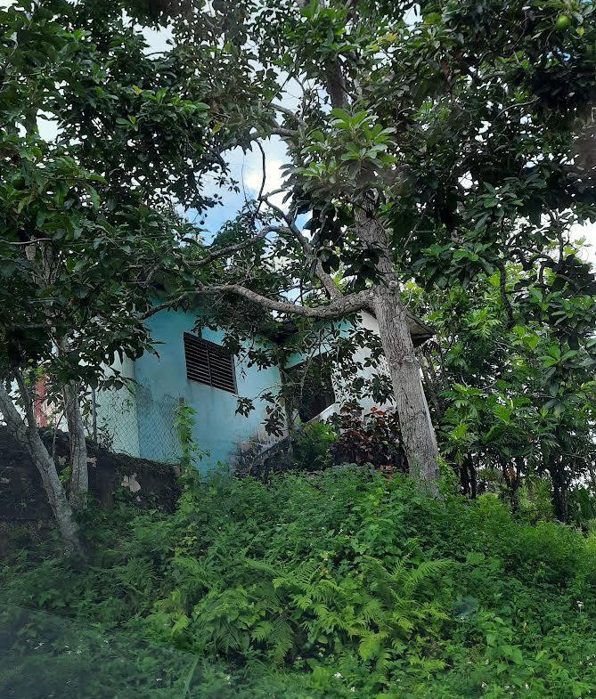Fifteenth image of 00 Ogle, Claremont, st Ann in Claremont, St. Ann, Jamaica - property is For Sale