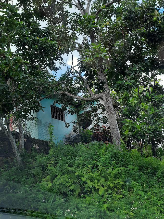 Fifteenth image of 00 Ogle, Claremont, st Ann in Claremont, St. Ann, Jamaica - property is For Sale
