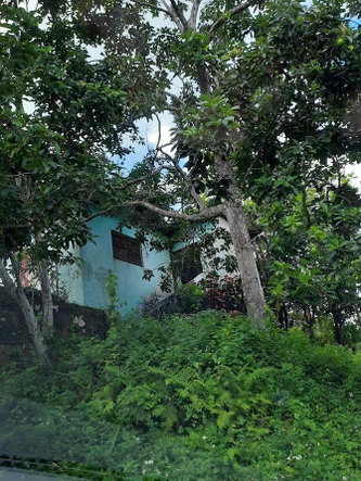 Fifteenth image of 00 Ogle, Claremont, st Ann in Claremont, St. Ann, Jamaica - property is For Sale