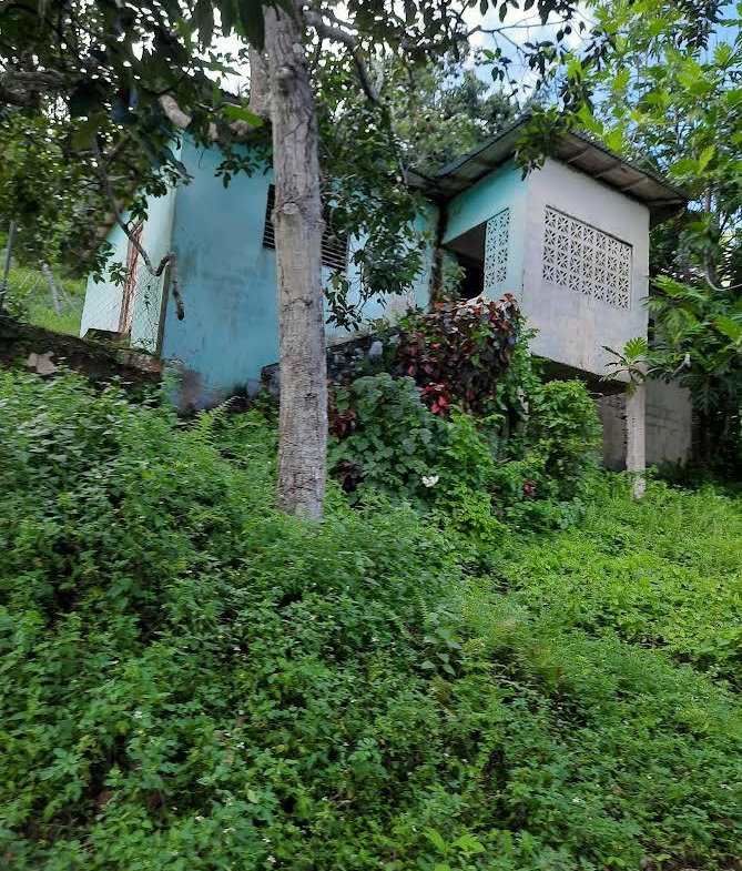 Ninth image of 00 Ogle, Claremont, st Ann in Claremont, St. Ann, Jamaica - property is For Sale