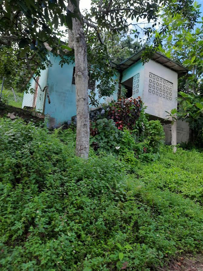 Ninth image of 00 Ogle, Claremont, st Ann in Claremont, St. Ann, Jamaica - property is For Sale